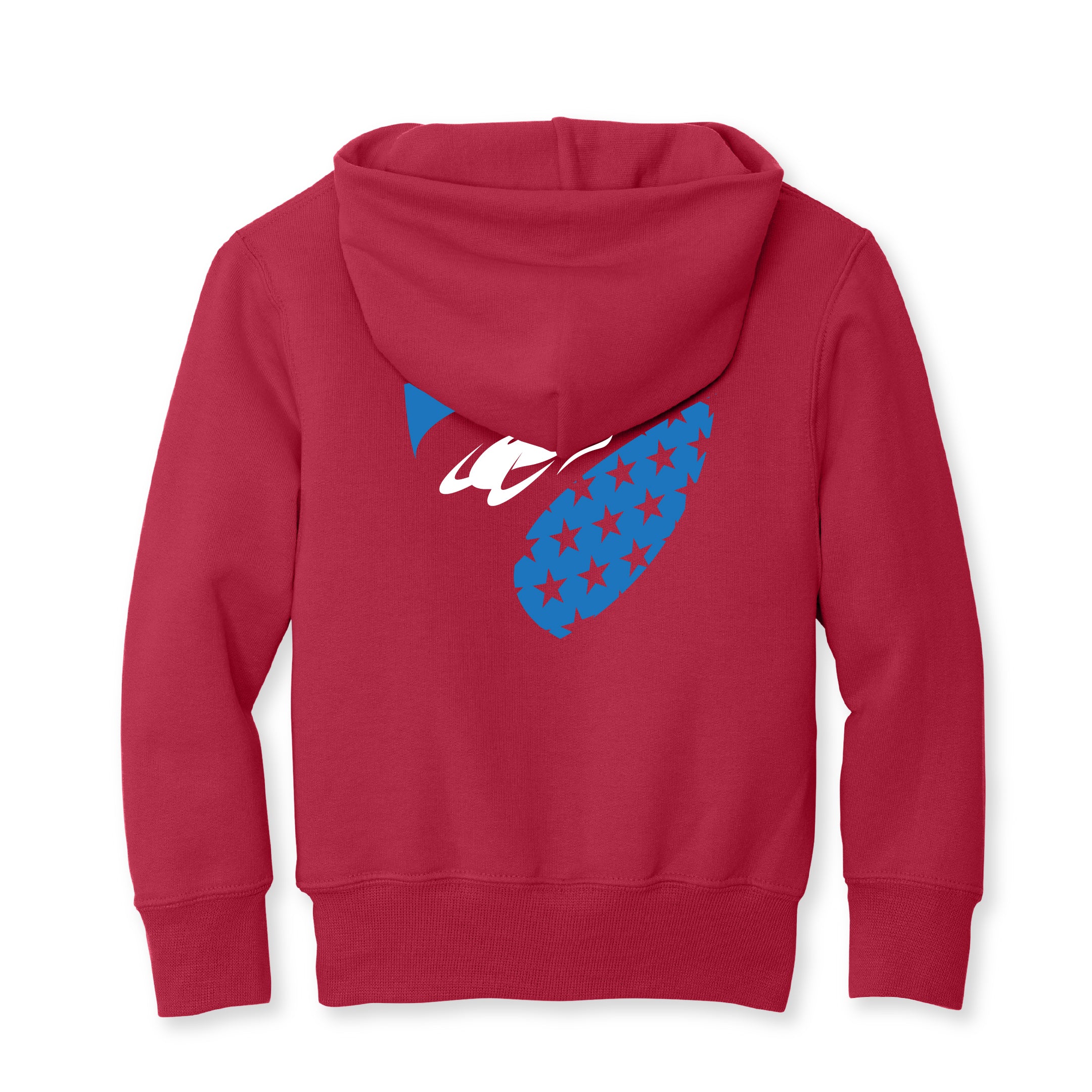 LUGE TEAM KIDS ALT LOGO HOODIE